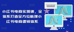 小红书电商实操课，全体系打造全方位梳理小红书电商逻辑体系-KJ分享