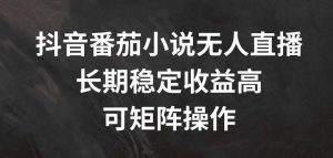 抖音番茄小说无人直播，长期稳定收益高，可矩阵操作【揭秘】-KJ分享