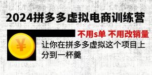 2024拼多多虚拟电商训练营 不s单 不改销量 做虚拟项目分一杯羹(更新10节)-KJ分享