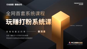 全网首套系统打粉课，日入3000+，手把手各行引流SOP团队实战教程-KJ分享