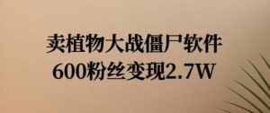 卖植物大战僵尸软件,600粉丝变现2.7W【揭秘】-KJ分享