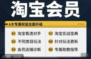 淘宝会员【淘宝所有课程,全面分析对手】,初级到高手全系实战宝典-KJ分享
