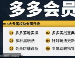 拼多多会员，拼多多实战宝典+实战落地实操，从新手到高阶内容全面覆盖-KJ分享