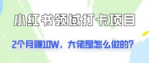 通过小红书领域打卡项目2个月赚10W,大佬是怎么做的?-KJ分享