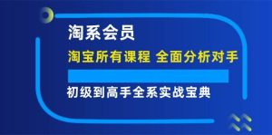 淘系会员【淘宝所有课程,全面分析对手】,初级到高手全系实战宝典-KJ分享