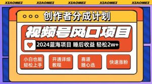 微信视频号大风口项目 轻松月入2w+ 多赛道选择，可矩阵，玩法简单轻松上手-KJ分享