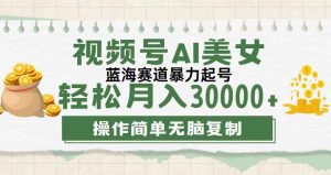 视频号AI美女跳舞,轻松月入30000+,蓝海赛道,流量池巨大,起号猛,无…-KJ分享