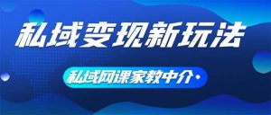 私域变现新玩法,网课家教中介,只做渠道和流量,让大学生给你打工、0…-KJ分享