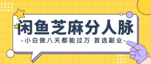 闲鱼芝麻分人脉,小白做八天,都能过万!首选副业!-KJ分享