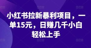 小红书拉新暴利项目,一单15元,日赚几千小白轻松上手【揭秘】-KJ分享