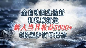 全自动网盘拉新和私域打造,0粉起步简单操作,新人入门当月收益5000以上-KJ分享