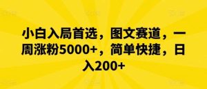 小白入局首选,图文赛道,一周涨粉5000+,简单快捷,日入200+-KJ分享