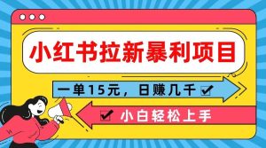 小红书拉新暴利项目,一单15元,日赚几千小白轻松上手-KJ分享