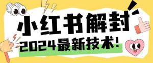 2024最新小红书账号封禁解封方法，无限释放手机号【揭秘】-KJ分享