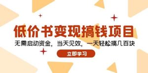 低价书变现搞钱项目：无需启动资金，当天见效，一天轻松搞几百块-KJ分享