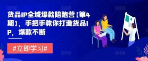 货品IP全域爆款陪跑营【第4期】,手把手教你打造货品IP,爆款不断-KJ分享