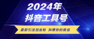 24年抖音最新工具号日引流300+创业粉,日入5000+-KJ分享