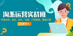 淘系运营实战班：市场分析、定位、定价、引流、产品策划，爆品打造-KJ分享