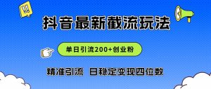 2024年抖音评论区最新截流玩法，日引200+创业粉，日稳定变现四位数实操…-KJ分享