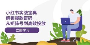 小红书实战宝典:解锁爆款密码,从矩阵号到高效投放-KJ分享