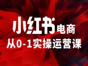 小红书电商从0-1实操运营课,让你从小白到精英-KJ分享