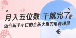 月入五位数 干就完了 适合新手小白的全新火爆的电商项目-KJ分享