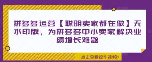拼多多运营【聪明卖家都在做】无水印版,为拼多多中小卖家解决业绩增长难题-KJ分享