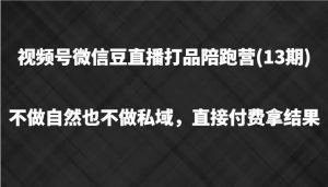 视频号微信豆直播打品陪跑(13期),不做不自然流不做私域,直接付费拿结果-KJ分享
