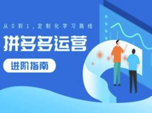 拼多多运营进阶指南,从0到1定制化学习路线-KJ分享