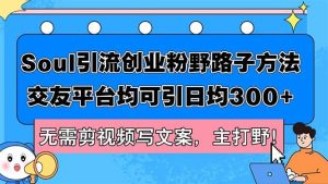 Soul引流创业粉野路子方法,交友平台均可引日均300+,无需剪视频写文案…-KJ分享