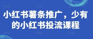 小红书薯条推广，少有的小红书投流课程-KJ分享