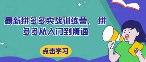 最新拼多多实战训练营, 拼多多从入门到精通-KJ分享