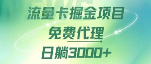 流量卡掘金代理,日躺赚3000+,变现暴力,多种推广途径-KJ分享