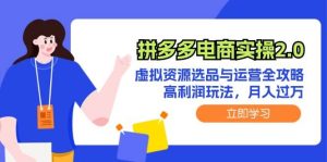 拼多多电商实操2.0:虚拟资源选品与运营全攻略,高利润玩法,月入过万-KJ分享