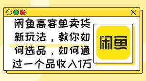 闲鱼高客单卖货新玩法,教你如何选品,如何通过一个品收入1万+-KJ分享