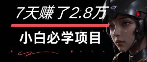 7天赚了2.8万!每单利润最少500+,轻松月入7万+小白有手就行-KJ分享