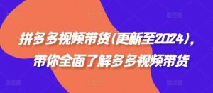 拼多多视频带货(更新至2024)，带你全面了解多多视频带货-KJ分享