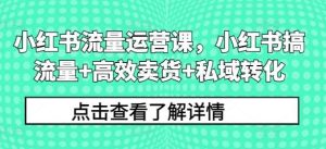 小红书流量运营课，小红书搞流量+高效卖货+私域转化-KJ分享