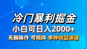 最新冷门蓝海项目，无脑搬运，小白可轻松上手，多种变现方式，一天十几…-KJ分享