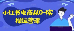 小红书电商从0-1实操运营课,小红书手机实操小红书/IP和私域课/小红书电商电脑实操板块等-KJ分享