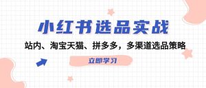 小红书选品实战：站内、淘宝天猫、拼多多，多渠道选品策略-KJ分享