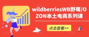 wildberriesWB野莓/OZON本土电商系列课,掌握WB产品优化,出单技巧和订单处理等-KJ分享