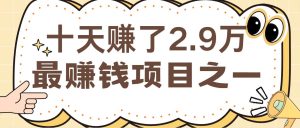 闲鱼小红书最赚钱项目之一，纯手机操作简单，小白必学轻松月入6万+-KJ分享