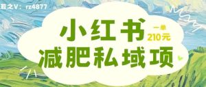 小红书减肥粉，私域变现项目，一单就达210元，小白也能轻松上手【揭秘】-KJ分享