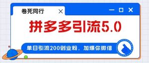拼多多引流付费创业粉，单日引流200+，日入4000+-KJ分享