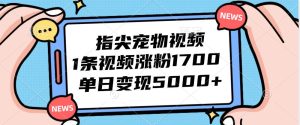 指尖宠物视频,1条视频涨粉1700,单日变现5000+-KJ分享