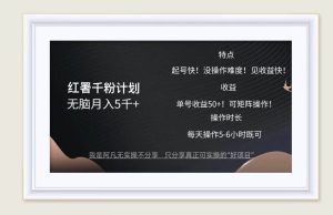 红薯千粉计划无脑月入5千+!既做既赚!-KJ分享