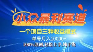 【老人言】-视频号爆火赛道，三种变现方式，0粉新号调调爆款-KJ分享
