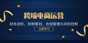 跨境电商运营:财务进阶、财税筹划、合规管理与风险控制-KJ分享