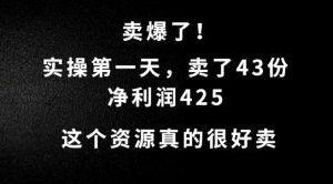 这个资源，需求很大，实操第一天卖了43份，净利润425【揭秘】-KJ分享